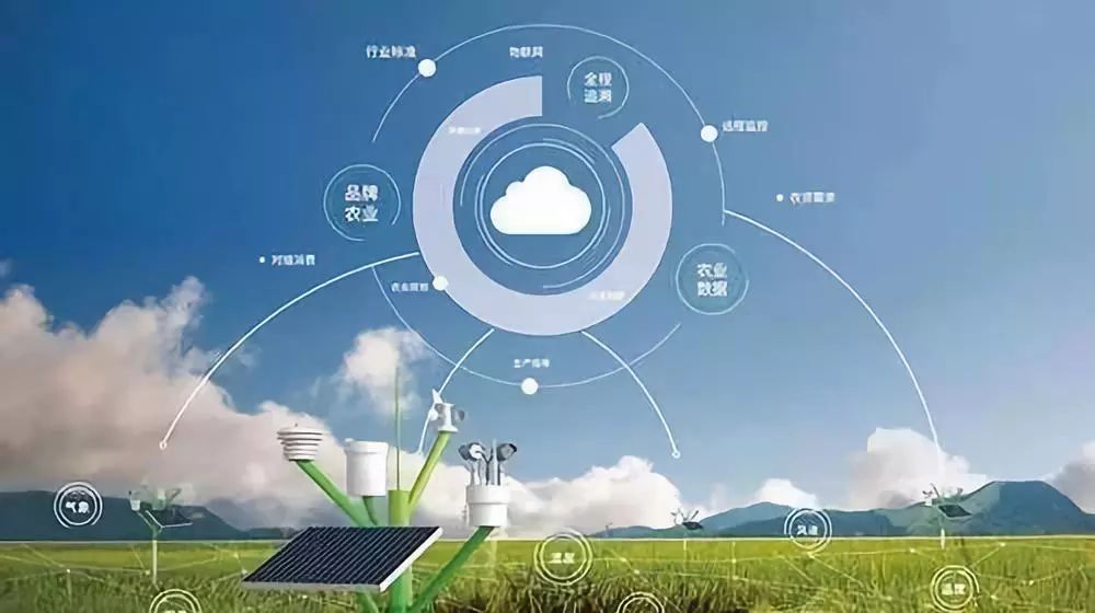 數據賦能，智慧興農 大數據為鄉村振興注入新動能